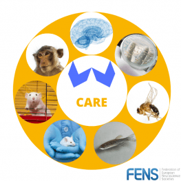 FENS Forum 2020 - FENS-CARE | Neuroscience Special Interest Event