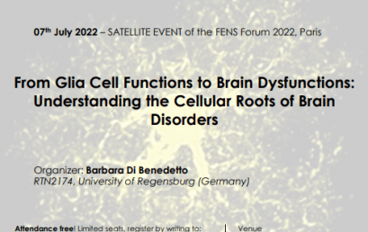 SE03 –  From glia cell functions to brain dysfunctions: understanding the cellular roots of brain disorders (09:45-11:15)